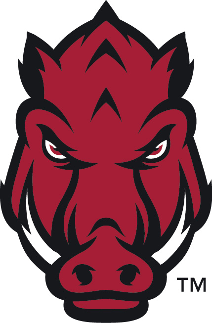 Arkansas Razorbacks 2014-Pres Secondary Logo diy DTF decal sticker...